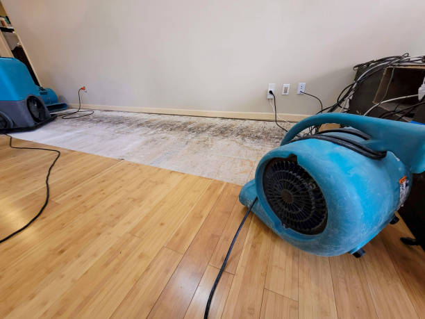 Professional Water Damage Repair technician working in Palmyra, PA